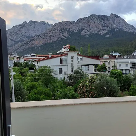 Vilă Nimo 5 1 For Rent With Private Pool